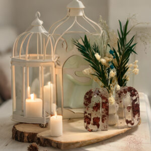 Modelo Transparencia Escarlata