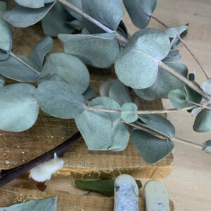 Modelo Destello Plateado